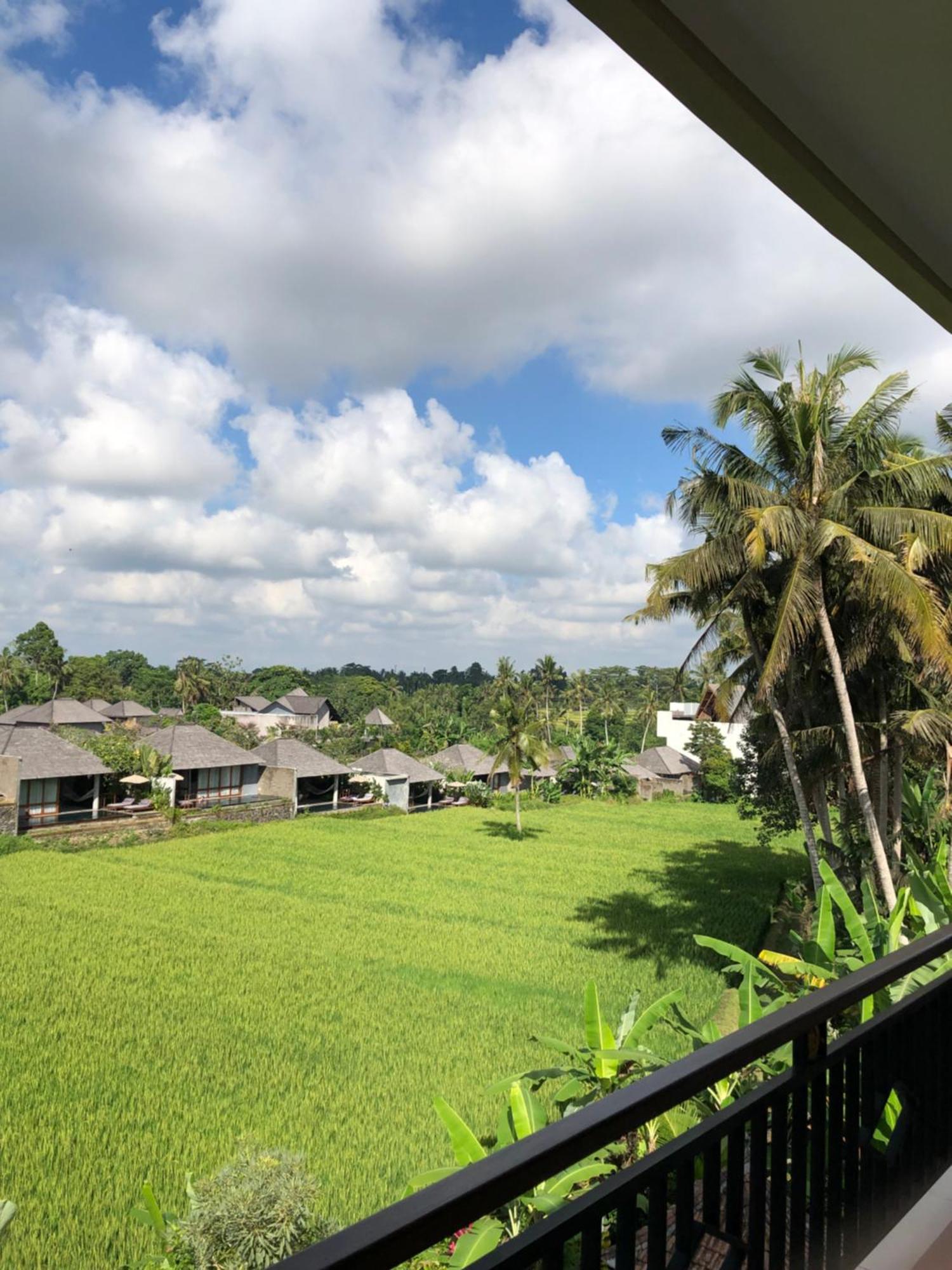Mira Family Cottages อูบุด ภายนอก รูปภาพ